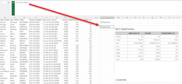 describe-variable-pandas-python-excel